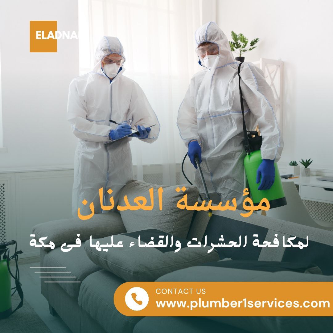  شركة مكافحة حشرات في مكة  