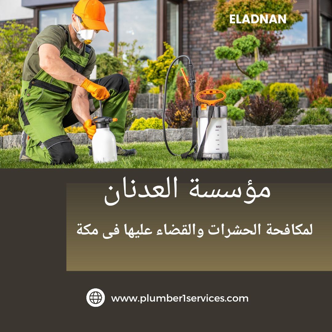 شركة إبادة حشرات بمكة في المنازل مضمونة  