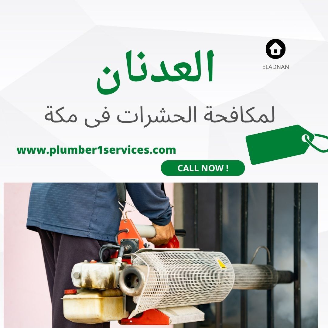  شركة رش حشرات في مكة  